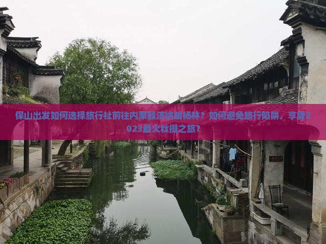 保山出发如何选择旅行社前往内蒙额济纳胡杨林？如何避免旅行陷阱，享受2023最火秋摄之旅？