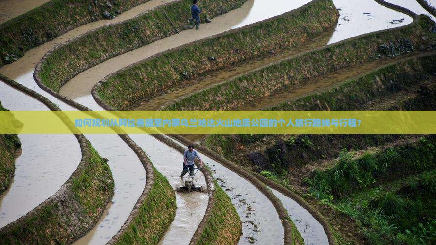 如何规划从阿拉善盟至内蒙乌兰哈达火山地质公园的个人旅行路线与行程？