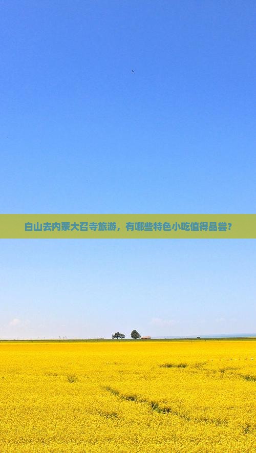 白山去内蒙大召寺旅游，有哪些特色小吃值得品尝？