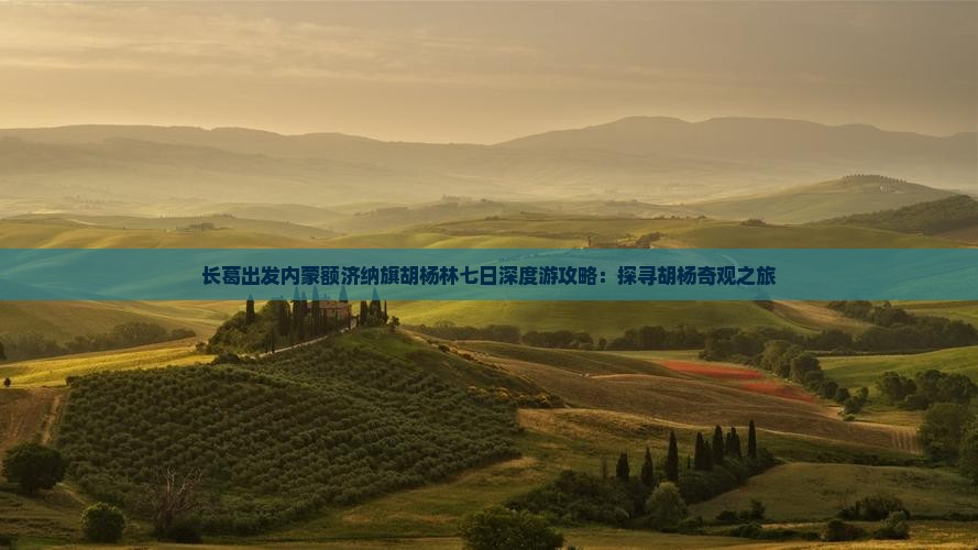 长葛出发内蒙额济纳旗胡杨林七日深度游攻略：探寻胡杨奇观之旅
