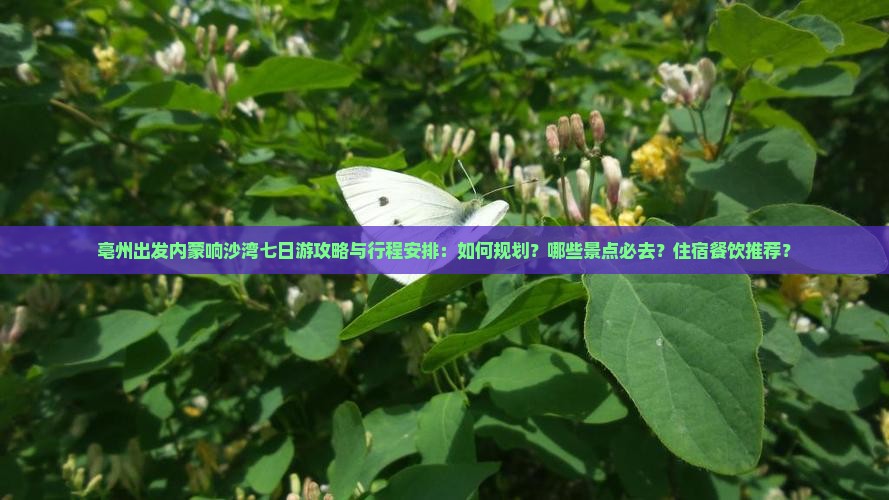 亳州出发内蒙响沙湾七日游攻略与行程安排：如何规划？哪些景点必去？住宿餐饮推荐？