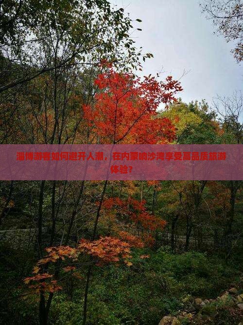 淄博游客如何避开人潮，在内蒙响沙湾享受高品质旅游体验？