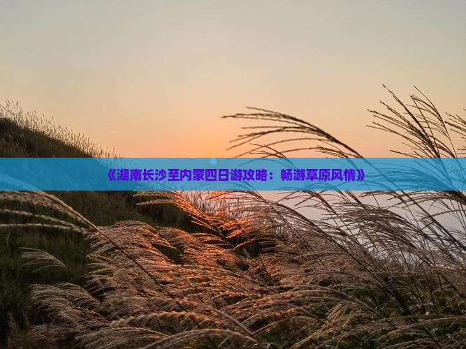 《湖南长沙至内蒙四日游攻略：畅游草原风情》