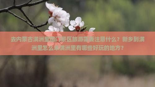 去内蒙古满洲里国门景区旅游需要注意什么？新乡到满洲里怎么卓满洲里有哪些好玩的地方？