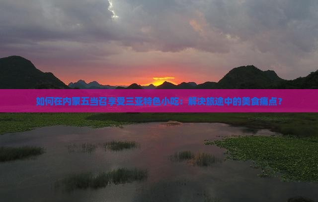 如何在内蒙五当召享受三亚特色小吃：解决旅途中的美食痛点？
