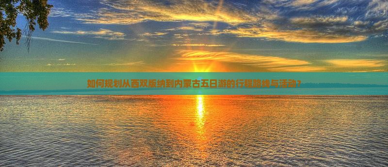如何规划从西双版纳到内蒙古五日游的行程路线与活动？