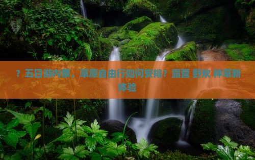 ？五日游内蒙，草原自由行如何安排？露营+野炊+种草新体验