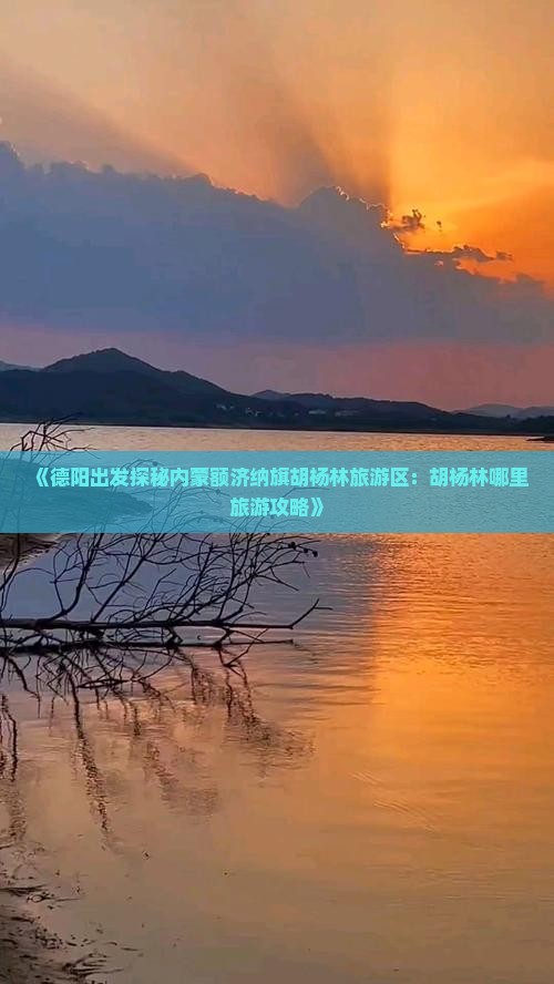 《德阳出发探秘内蒙额济纳旗胡杨林旅游区：胡杨林哪里旅游攻略》