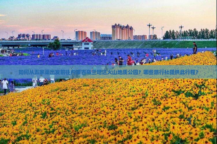 如何从五家渠出发前往内蒙古乌兰哈达火山地质公园？哪些旅行社提供此行程？