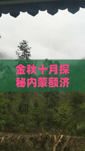 金秋十月探秘内蒙额济纳胡杨林四日深度游