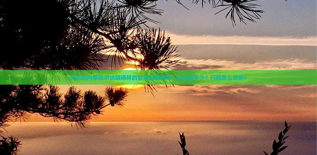 天水到内蒙额济纳胡杨林的旅游团靠谱吗？价格是多少？行程怎么安排？