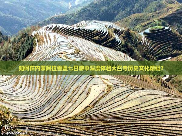 如何在内蒙阿拉善盟七日游中深度体验大召寺历史文化精髓？