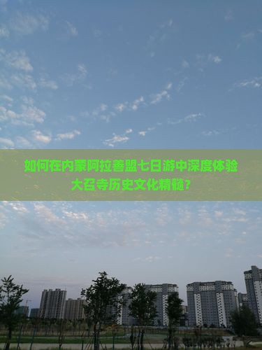 如何在内蒙阿拉善盟七日游中深度体验大召寺历史文化精髓？
