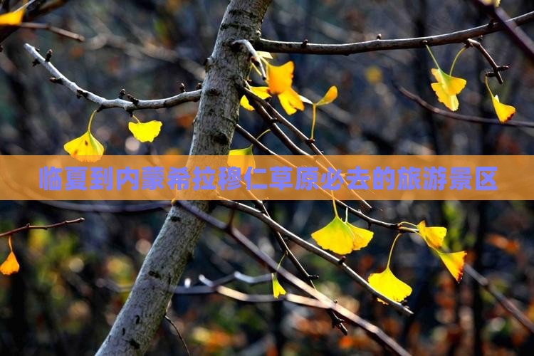 临夏到内蒙希拉穆仁草原必去的旅游景区