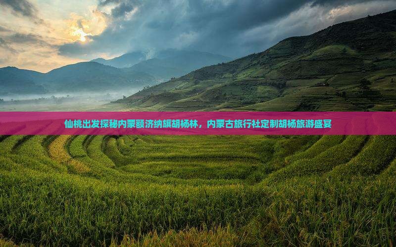 仙桃出发探秘内蒙额济纳旗胡杨林，内蒙古旅行社定制胡杨旅游盛宴