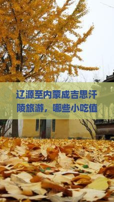 辽源至内蒙成吉思汗陵旅游，哪些小吃值得一试？网红美食痛点！
