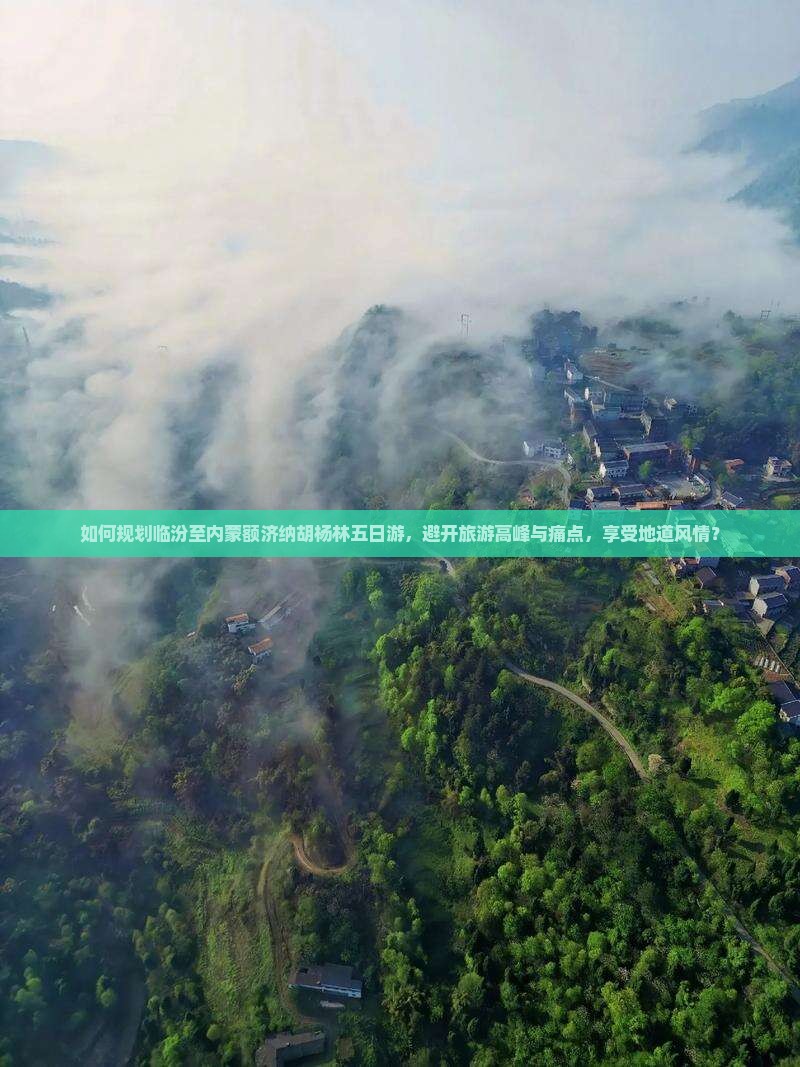 如何规划临汾至内蒙额济纳胡杨林五日游，避开旅游高峰与痛点，享受地道风情？