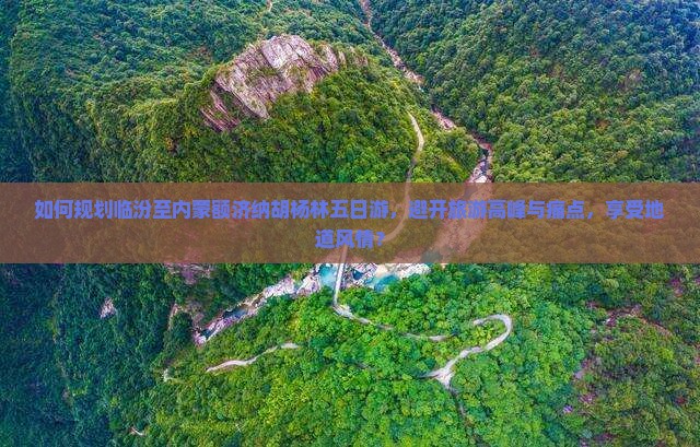 如何规划临汾至内蒙额济纳胡杨林五日游，避开旅游高峰与痛点，享受地道风情？