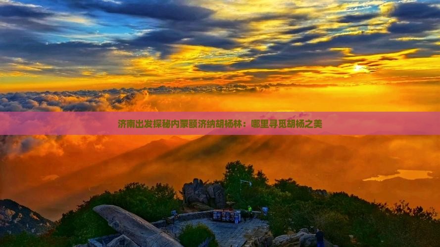 济南出发探秘内蒙额济纳胡杨林：哪里寻觅胡杨之美