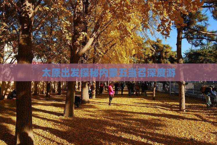 太原出发探秘内蒙五当召深度游