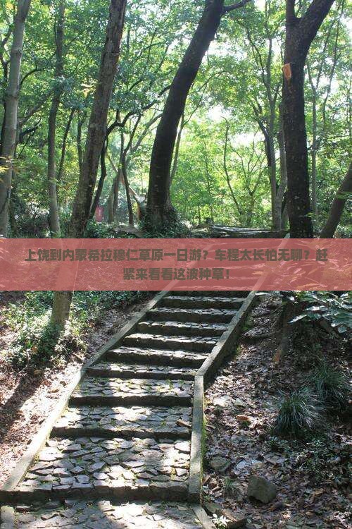 上饶到内蒙希拉穆仁草原一日游？车程太长怕无聊？赶紧来看看这波种草！