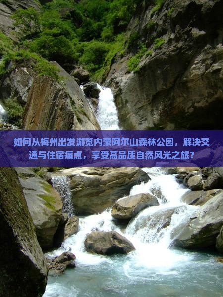 如何从梅州出发游览内蒙阿尔山森林公园，解决交通与住宿痛点，享受高品质自然风光之旅？
