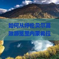 如何从呼伦贝尔高效游览至内蒙希拉穆仁草原，解决游客交通痛点？