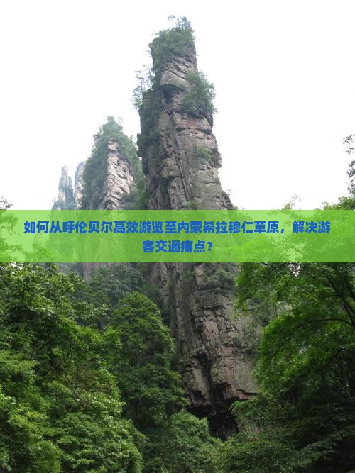 如何从呼伦贝尔高效游览至内蒙希拉穆仁草原，解决游客交通痛点？