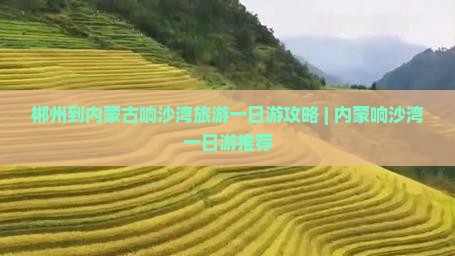 郴州到内蒙古响沙湾旅游一日游攻略 | 内蒙响沙湾一日游推荐