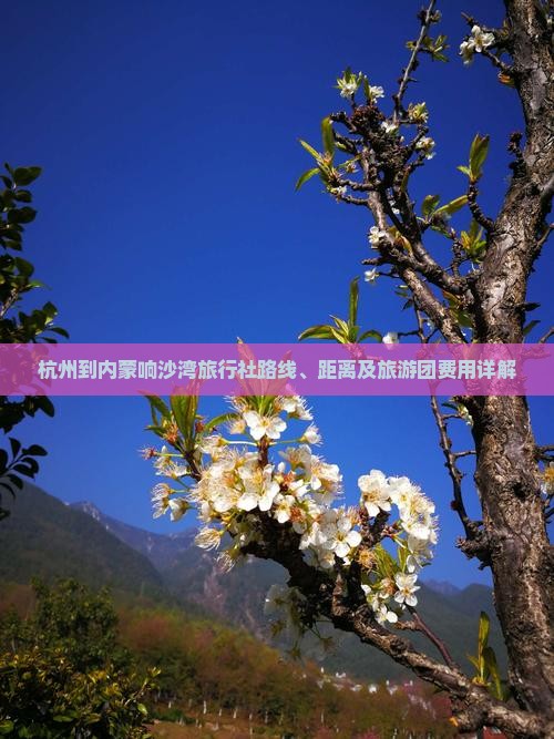 杭州到内蒙响沙湾旅行社路线、距离及旅游团费用详解