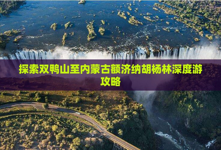 探索双鸭山至内蒙古额济纳胡杨林深度游攻略