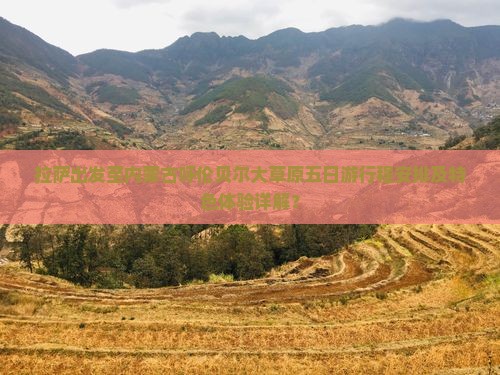 拉萨出发至内蒙古呼伦贝尔大草原五日游行程安排及特色体验详解？