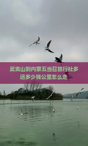 武夷山到内蒙五当召旅行社多远多少钱公里怎么走