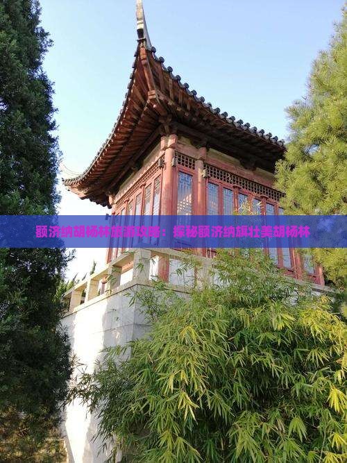 额济纳胡杨林旅游攻略：探秘额济纳旗壮美胡杨林