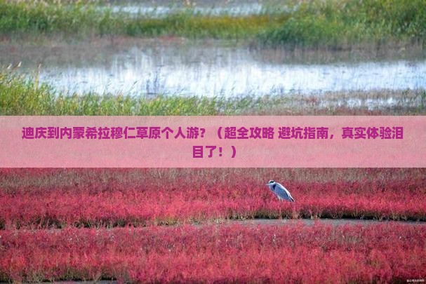迪庆去内蒙希拉穆仁草原个人游