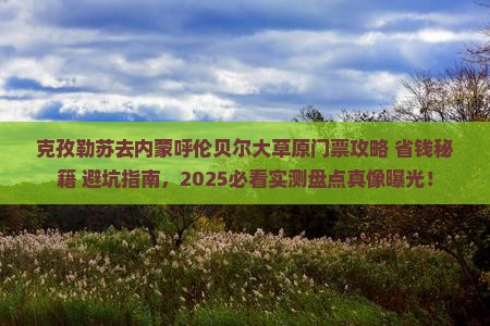 克孜勒苏去内蒙呼伦贝尔大草原门票