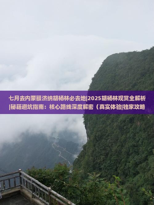 七月去内蒙额济纳胡杨林必去地