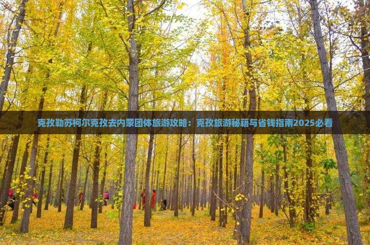 克孜勒苏柯尔克孜去内蒙团体旅游