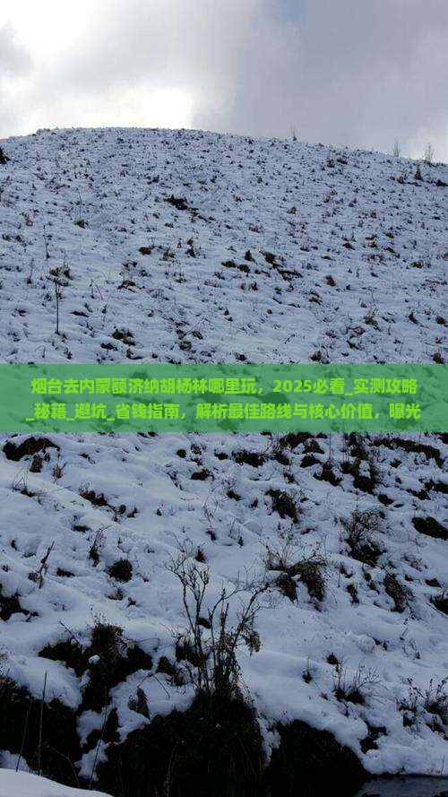 烟台去内蒙额济纳胡杨林哪里玩