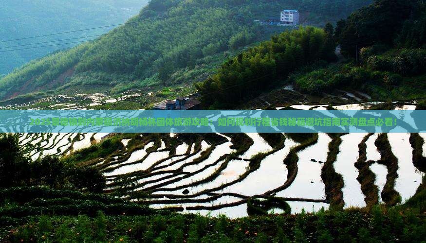 景德镇到内蒙额济纳胡杨林团体旅游