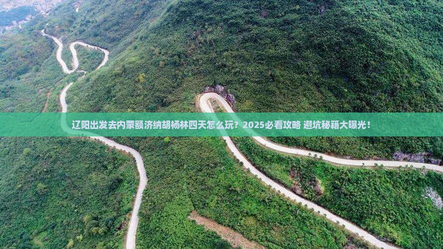 辽阳到内蒙额济纳胡杨林四日游 辽阳到内蒙额济纳胡杨林四日游