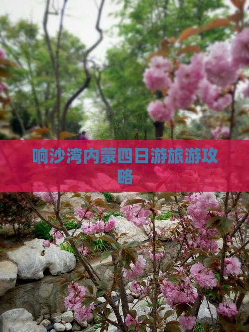 锡林郭勒盟去内蒙响沙湾四日游