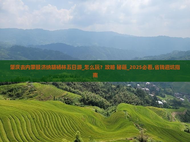 肇庆去内蒙额济纳胡杨林五日游