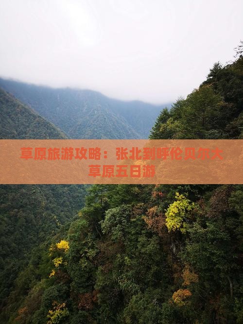 张北到内蒙呼伦贝尔大草原五日游