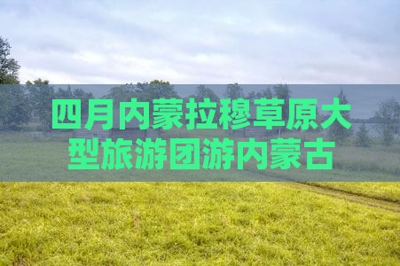四月到内蒙希拉穆仁草原大型旅游团