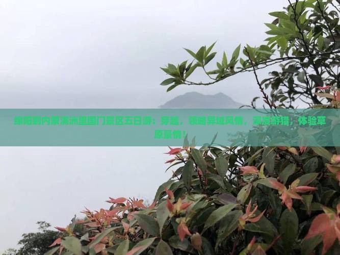 绵阳到内蒙满洲里国门景区五日游