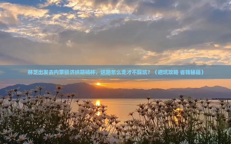 林芝去内蒙额济纳胡杨林必去地