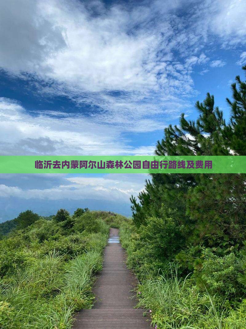 临沂去内蒙阿尔山国家森林公园自由行