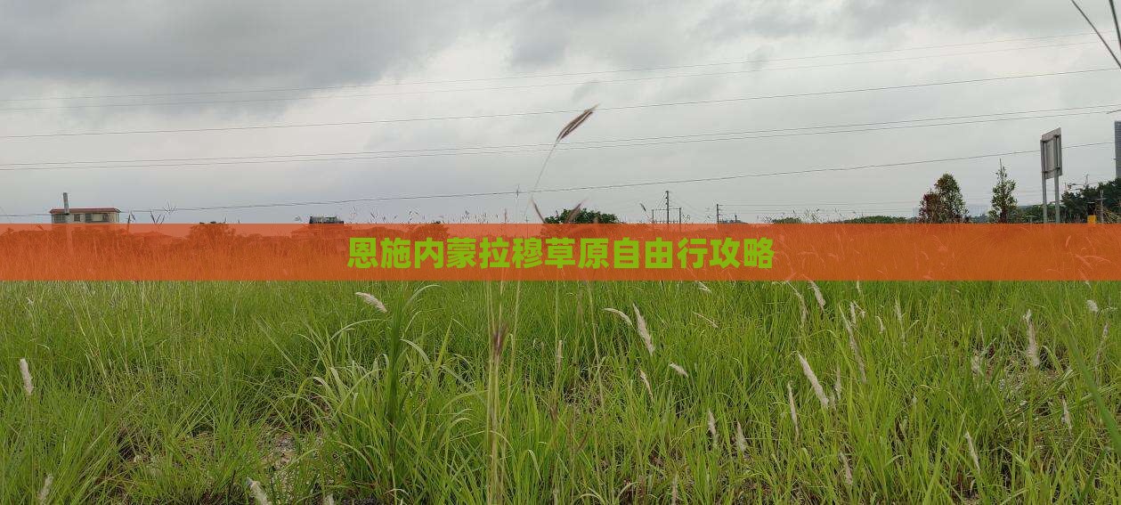 恩施去内蒙希拉穆仁草原自由行