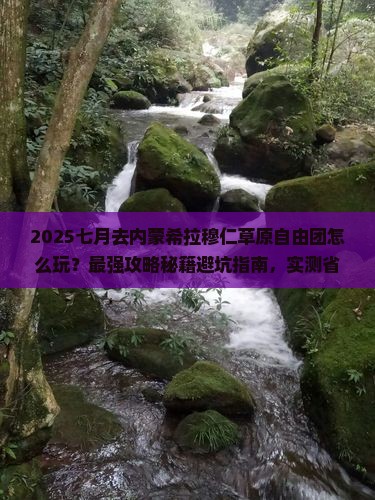 七月到内蒙希拉穆仁草原自由团